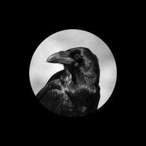 91视频丝袜高跟鞋
