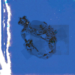 求苮儿最新网址
