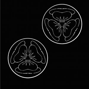 午夜福利无码专区在线观看
