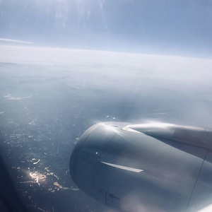 张柏芝殖器图12
