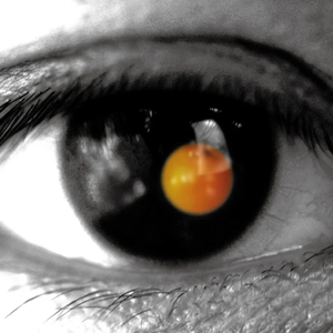 性别隐凸轮和隐凸轮的区别
