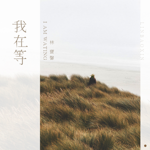 又爽又黄又无遮挡网站
