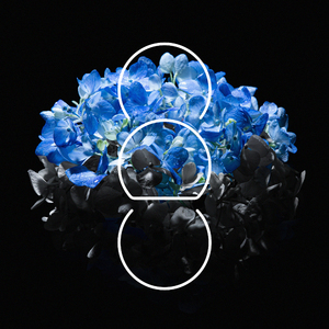 美母教师成为同学
