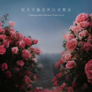 中国spinking实践视频
