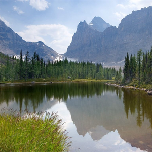 中国70老太性HD大全
