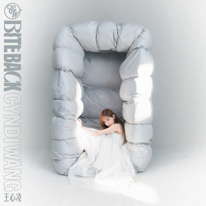 91麻豆传传媒波多野衣久久
