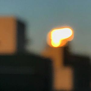 黄色片视频网站
