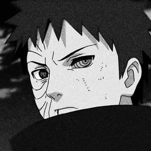 相泽南主演的《家访》在线观看
