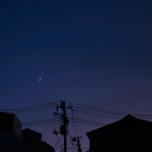 神彩美舞在线观看免费
