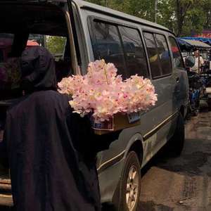 国产日韩欧美亚洲
