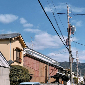 女生让男生自慰网战
