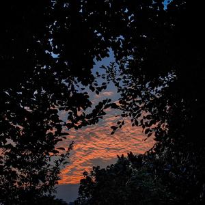 亚洲妓女毛耸耸撒尿
