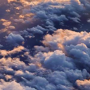 性感美女被大鸡巴日逼
