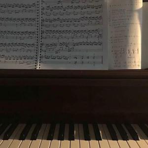 黄色片视频网站
