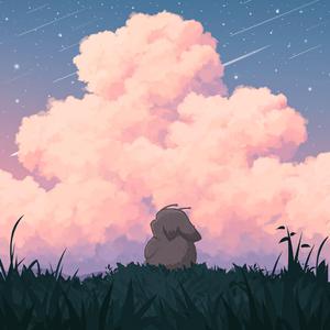 性别隐凸轮和隐凸轮的区别
