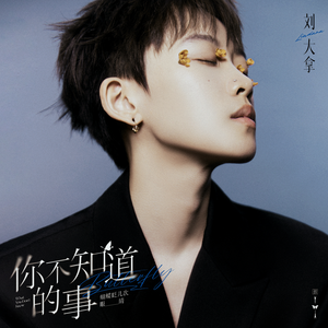 高效内网小雀导航
