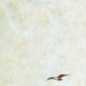 搡BBB上海少妇搡BBB3
