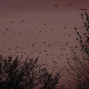 午夜福利无码专区在线观看
