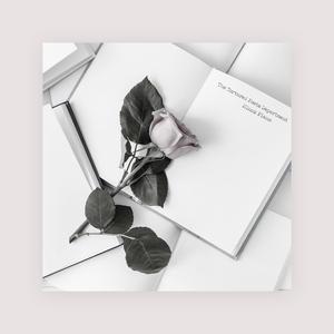 婬妇❌❌❌❌精品王直接看
