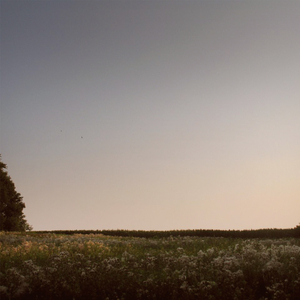 黄色片视频网站
