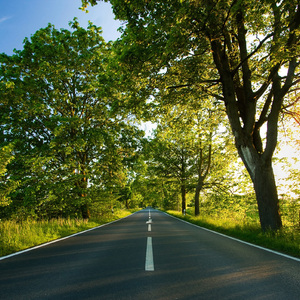 日韩捆绑调教潮喷
