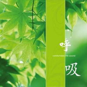 高效内网小雀导航
