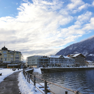 中文字幕网在线
